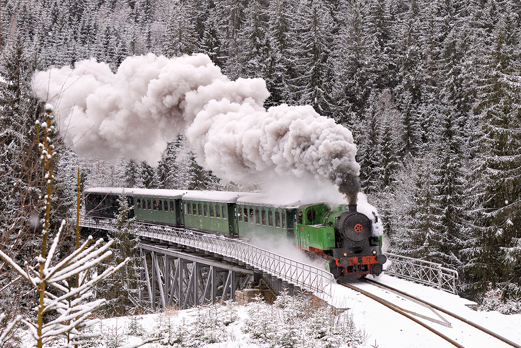 Ohlédnutí za vánočními jízdami