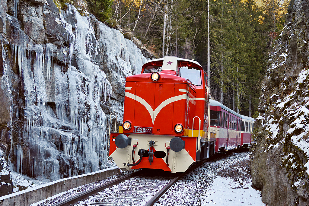 T426003 Korenov LS 2025 12 27 DSC 2384